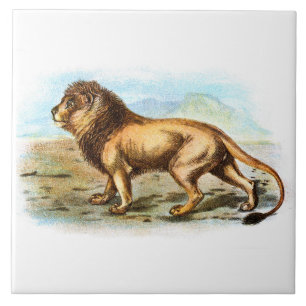 Vintage Lion Animal Illustration Fliese