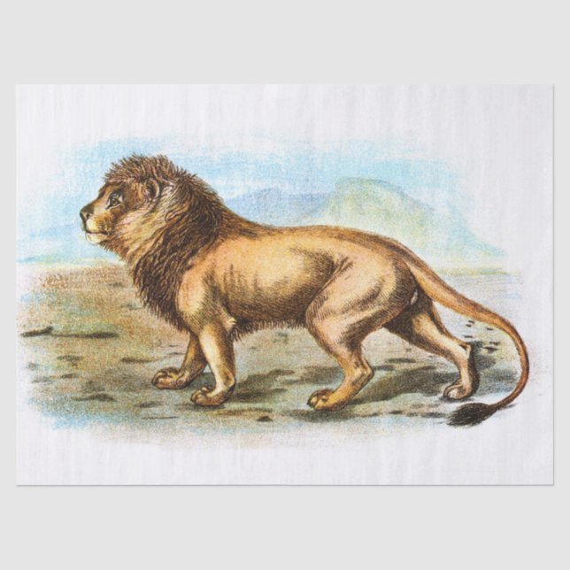 Vintage Lion Illustration Decoupage Seidenpapier (Vorderseite)