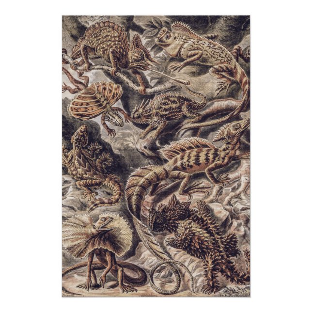 Vintage Lizard Animals by Ernst Haeckel  Poster (Vorderseite)