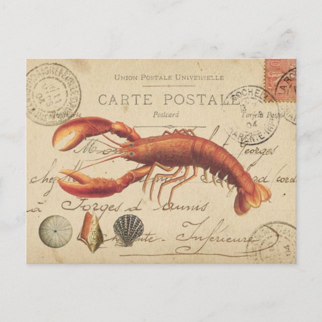 Vintage Lobster and seashells postcard Postkarte (Vorderseite)