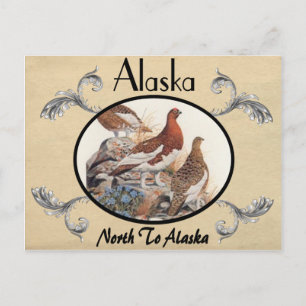 Vintage Look Vieux carte postale Alaska State