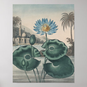 Vintage-Lotus Poster
