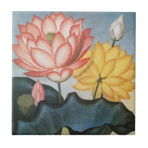 Vintage Lotusblumen, Die Heilige Ägyptische Bohne Fliese