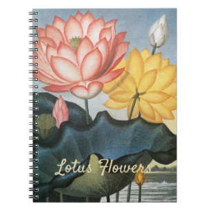 Vintage Lotusblumen, Die Heilige Ägyptische Bohne Notizblock