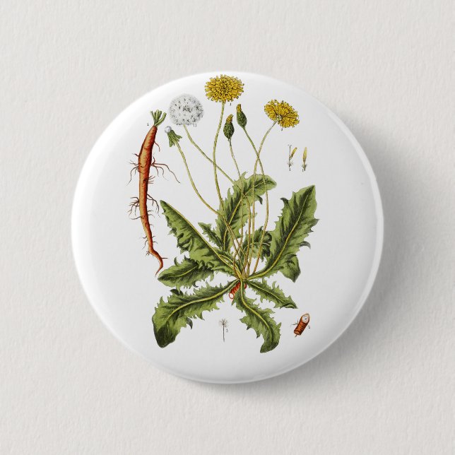 Vintage Löwenzahn-Illustration Button (Vorderseite)