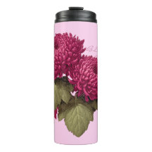 Vintage Magenta Chrysanthemum-Blüte