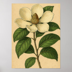 Vintage Magnolie auf verwittertem Papierposter Poster