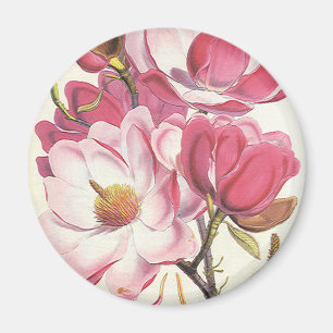 Vintage Magnolien-Baum-Blüte, rosa Garten-Blumen Magnet