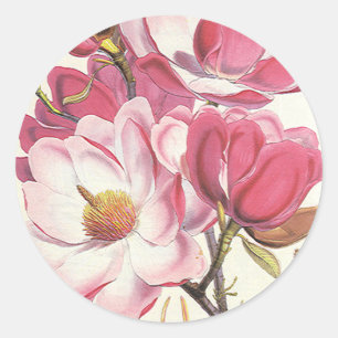 Vintage-Magnolienbaumblüte, rosa Gartenblumen Runder Aufkleber