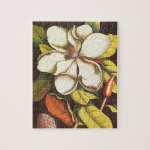 Vintage Magnolische Blume Pflanze mit Saatgut