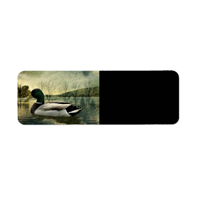 Vintage Mallard Duck Weathered Postcard (Vorne)