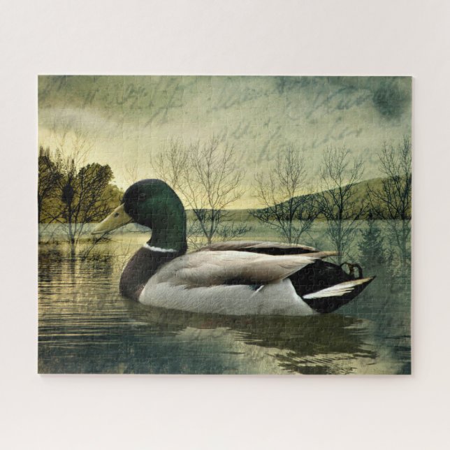 Vintage Mallard Duck Weathered Postcard (Horizontal)