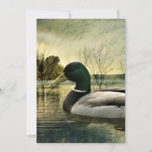 Vintage Mallard Duck Weathered Postcard Dankeskarte