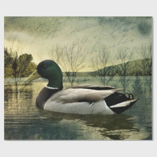 Vintage Mallard Duck Weathered Postcard Geschenkpapier