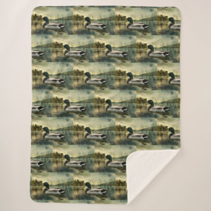 Vintage Mallard Duck Weathered Postcard Sherpadecke