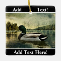 Vintage Mallard-Ente mit gewitterter Postkarten-Ke
