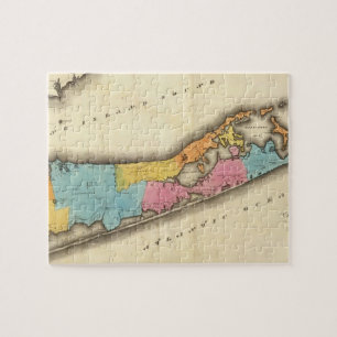 Vintage Map of Suffolk New York 1829