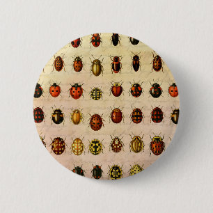 Vintage Marienkäfer-Exemplar-Muster Antikes Insekt Button