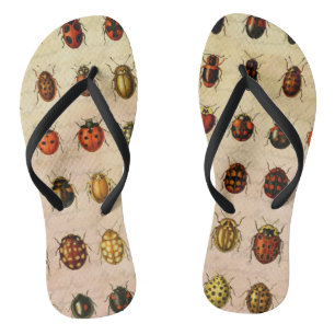 Vintage Marienkäfer-Exemplar-Muster Antikes Insekt Flip Flops