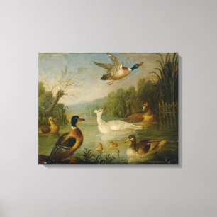 Vintage Marmaduke Cradock Mallards on a Pond Leinwanddruck