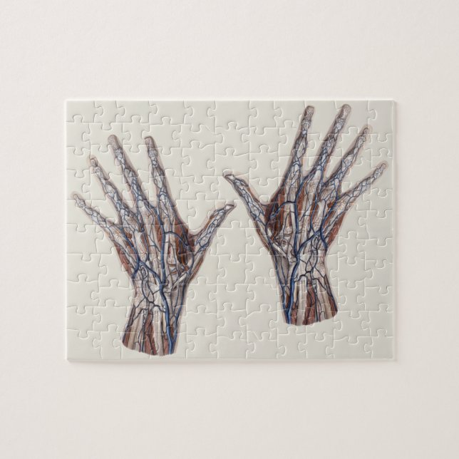 Vintage Medizin, menschliche Anatomie Hand Fingers (Horizontal)