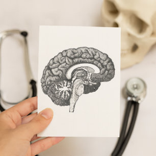 Vintage medizinische Anatomie-Illustration menschl Postkarte