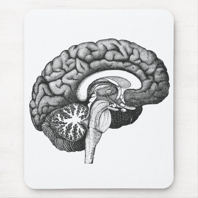 Vintage medizinische Anatomie zur Veranschaulichun Mousepad (Vorne)