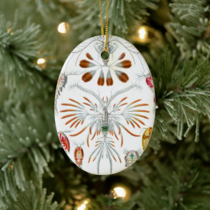 Vintage-Meeres-Tiere, Copepoda von Ernst Haeckel Keramik Ornament