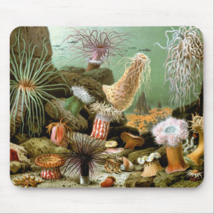 Vintage Meeresanemonen, Meerestiere Mousepad