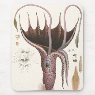 Vintage Meereslebewesen Tiere, Schirm-Tintenfisch Mousepad