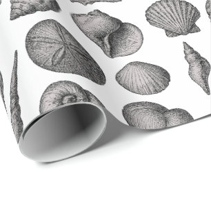 Vintage-Meeresmuschel-Ozean-Natur-Skizzenmuster Geschenkpapier