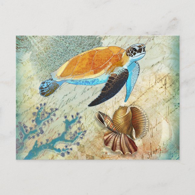 Vintage Meeresschildkröte mit Seashells Postkarte (Vorderseite)