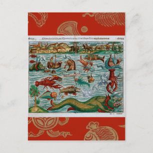 Vintage Meerestiere Postkarte