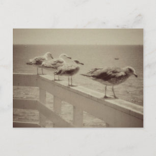 Vintage Meerschluchten Postkarte