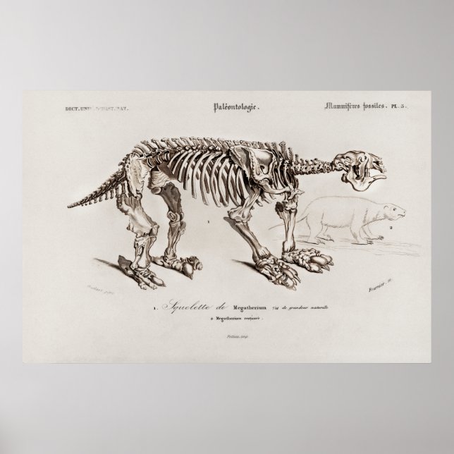 Vintage Megatherium-Illustration Poster (Vorne)