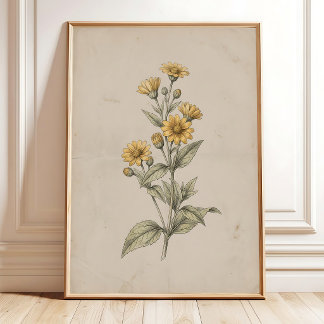 Vintage-Melampodium-Blumen-Wandkunst-Druck Poster