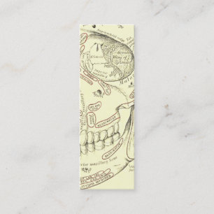 Vintage menschliche Anatomie anterolaterales Schäd Mini Visitenkarte