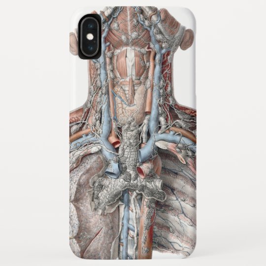 Vintage Menschliche Anatomie Kehle Hals Kasten Case Mate Iphone Hulle Zazzle Ch