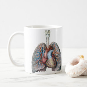Vintage-Menschliche Anatomie Lungen Herz Organe Bl Kaffeetasse
