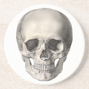 Vintage Menschliche Anatomie Schädel, Halloween-Sk Untersetzer