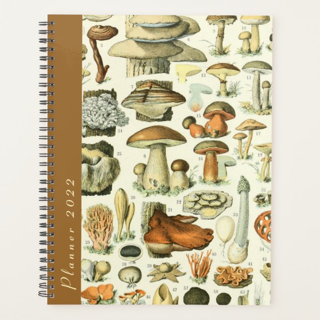 Vintage Millot Mushrooms & Fungi 2022 Dated Diary Planer (Vorderseite)