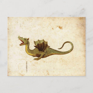 Vintage Mittelalter-Drachendesign Postkarte