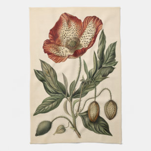 Vintage-Mohn-Botanische-Illustration Geschirrtuch