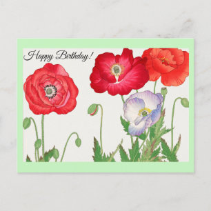 Vintage Mohnblume Postkarte