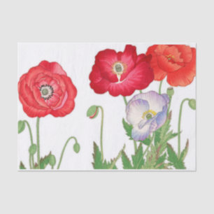 Vintage Mohnblüte, Decoupage Seidenpapier