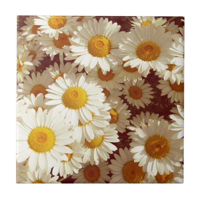 Vintage Molkereien Fliese (Vorderseite)