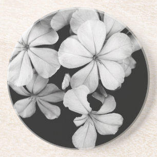 Vintage Monochrome Plumbago-Kunstwerk Untersetzer