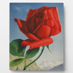 Vintage Montreux Rote Rose Schweiz Genfersee Fotoplatte