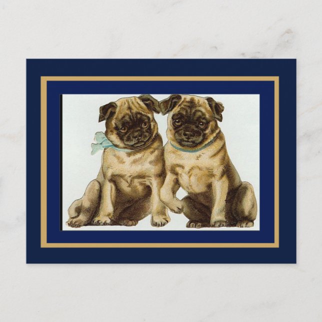 Vintage Mops Hunde Postkarte (Vorderseite)