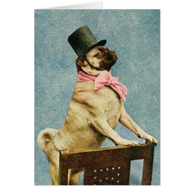 Vintage Mops-Hundekarte (Vorne)